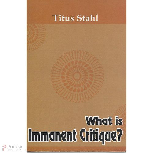 What is Immanent Critique?